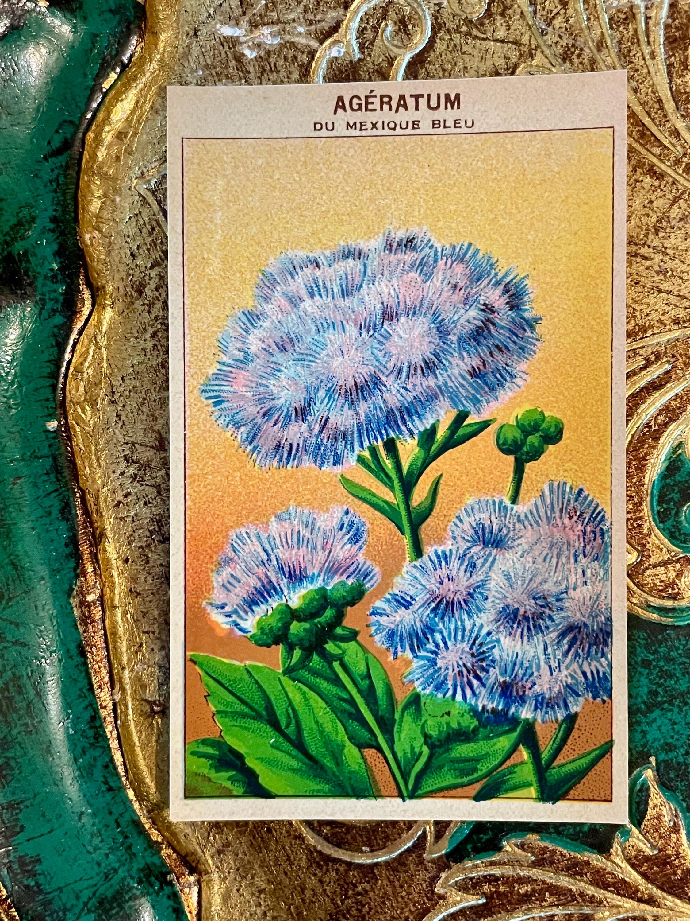Vintage French Flower Seed Packet Labels 1920s Garden Ephemera Set of 8 ...