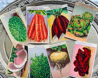 Vintage French Vegetable Seed Packet Labels Set of 8