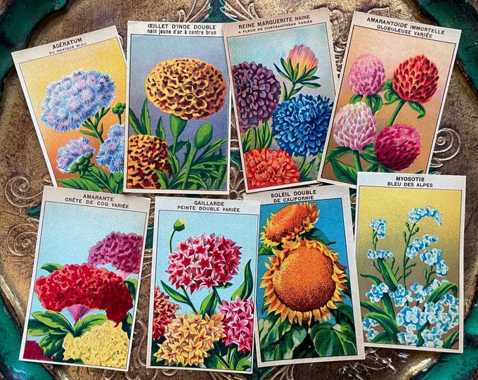 Vintage French Seed Packet Labels 1920s Antique Flower Garden Ephemera ...
