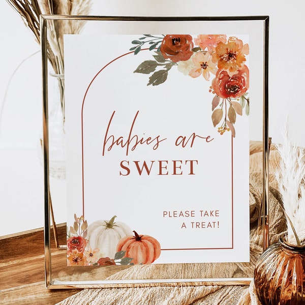 Babies Are Sweet Sign Template, Boho Arch Pumpkins and Leaves, 5x7 and 8x10 Fall Floral Baby Shower Sign, Editable Template by HelloLoveCo