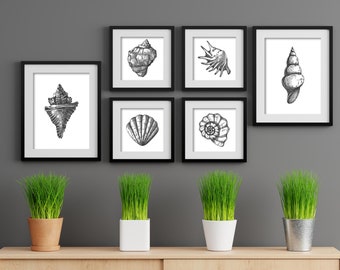 Sea shells wall prints, Black and white seashell wall art, Hand drawn sea shells illustrations prints, bathroom wall decor