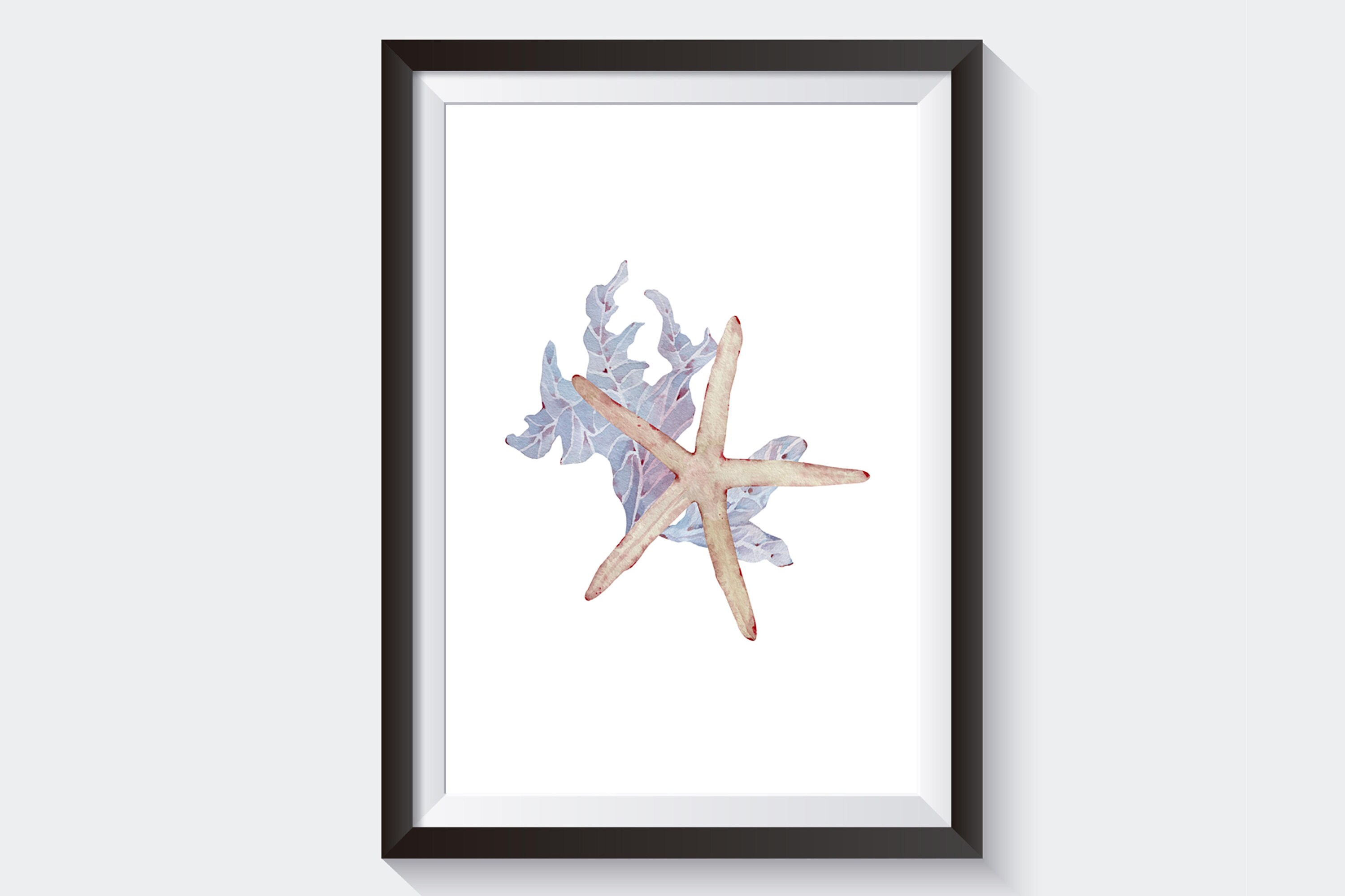 Seashells Wall Prints Bathroom Wall Decor Sea Life Etsy UK