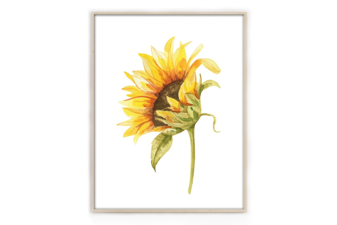 Watercolour Sunflowers Wall Prints Sunflowers Wall Art Etsy UK