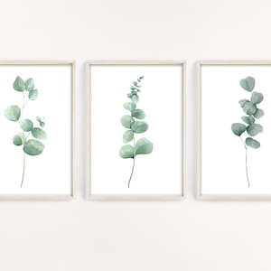Eukalyptusdrucke 3er Set, Haus und Wohnen Drucke, Gründrucke, Blattdesign, Eukalyptus Wandkunst, Botanische Kunst, Raumdekor