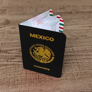 Mexiko Souvenir - Passport Einladung