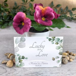 Scratch Card Holders (Eucalyptus)