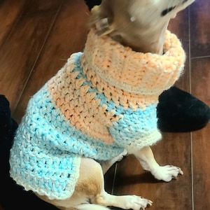 May include: A small, light brown chihuahua wearing a crocheted sweater with blue and peach stripes. The sweater has a high neck and is made with a chunky yarn.