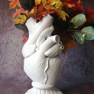 Herz Vase Skulptur - 3D Gedruckte Hart Vase - Anatomische Herz Vase
