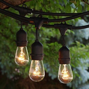 May include: A string of black outdoor lights with clear glass bulbs. The bulbs are lit and glowing. The lights are hanging from a tree branch.