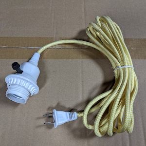 May include: A yellow and white patterned electrical cord with a white light bulb socket and a standard US plug.