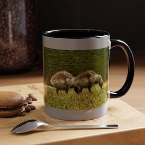 Mug, Baby Canadian Geese Nature Lover Bird Watcher Coffee Cup, Colorful Bird Design, Gift for Bird Lovers, Wildlife Mug, Animal Lover Gift,