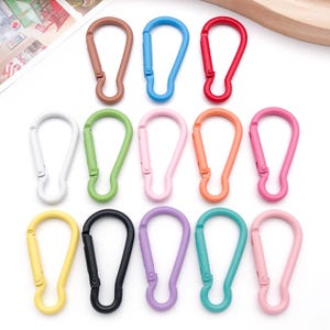 Könnte beinhalten: Eine Sammlung farbenfroher Karabinerhaken in verschiedenen Farbtönen, darunter Braun, Blau, Rot, Weiß, Grün, Rosa, Orange, Gelb, Schwarz, Lila und Türkis. Diese Metallclips sind auf einer weißen Oberfläche angeordnet.