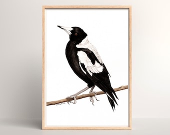 Digital Download Watercolour Magpie Artwork - Native Australian Bird Art