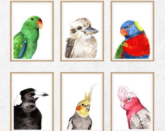 May include: Six framed watercolor prints of various birds, including a green parrot, a kookaburra, a rainbow lorikeet, a magpie, a cockatiel, and a pink galah. The frames are a light brown color, and the background is white. Text at the bottom reads "frames not included."