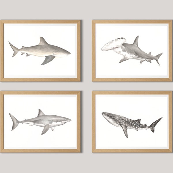 Set of Four Watercolour Shark Prints - Bull Shark, Hammerhead Shark, Great White Shark, Whale Shark