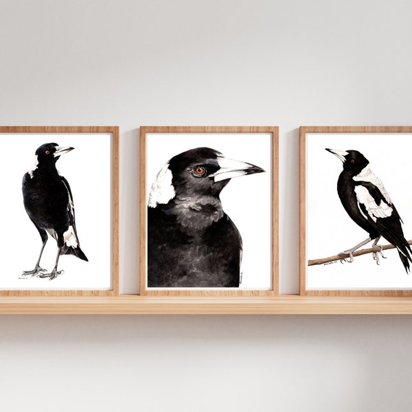 Set of Three Watercolour Magpie Prints - Native Australian Bird Art