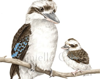 Watercolour Kookaburra and Chick Print - Native Australian Bird Artwork