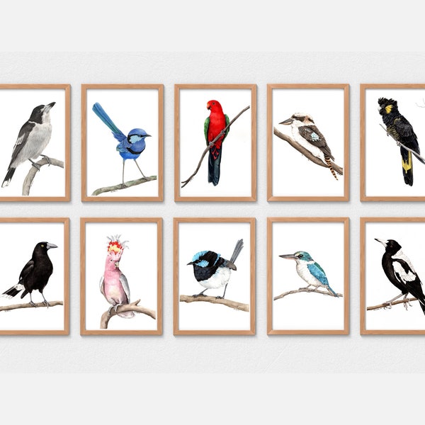 Set of 10 Native Australian Bird Prints - watercolour australian bird print, large bird print sets, australian bird paintings