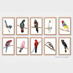 May include: Ten framed watercolour prints of different birds, such as a blue wren, black cockatoo, and a white cockatoo. Each bird is perched on a branch against a white background. The frames are light brown. Text at the bottom reads "frames not included."
