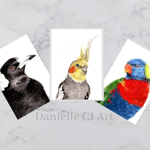 Digital Download - Australian Bird Portraits Set of Three - Magpie, Cockatiel, Lorikeet - watercolour australian bird paintings