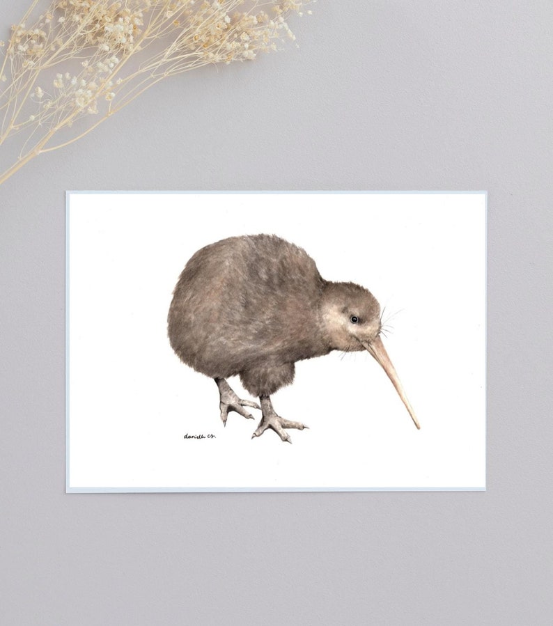 Printable Watercolour Kiwi Bird Artwork Etsy Australia