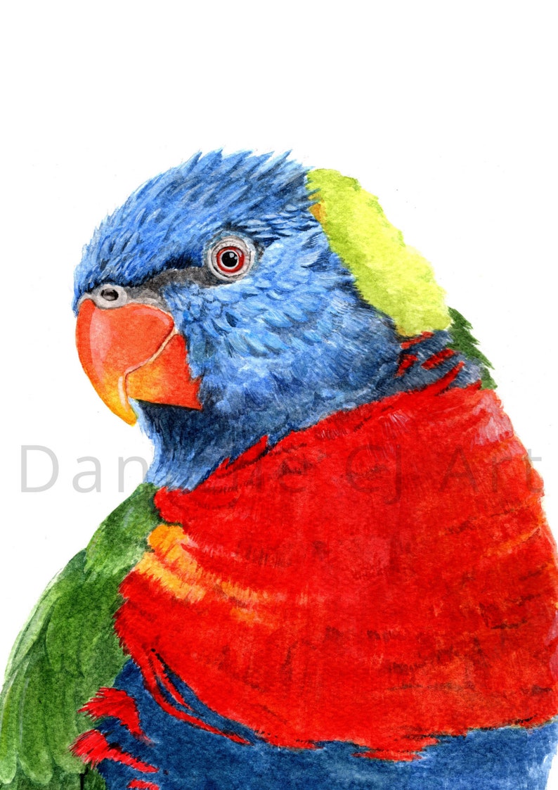 Set of 6 Australian Bird Portrait Prints Watercolour Bird Etsy Australia