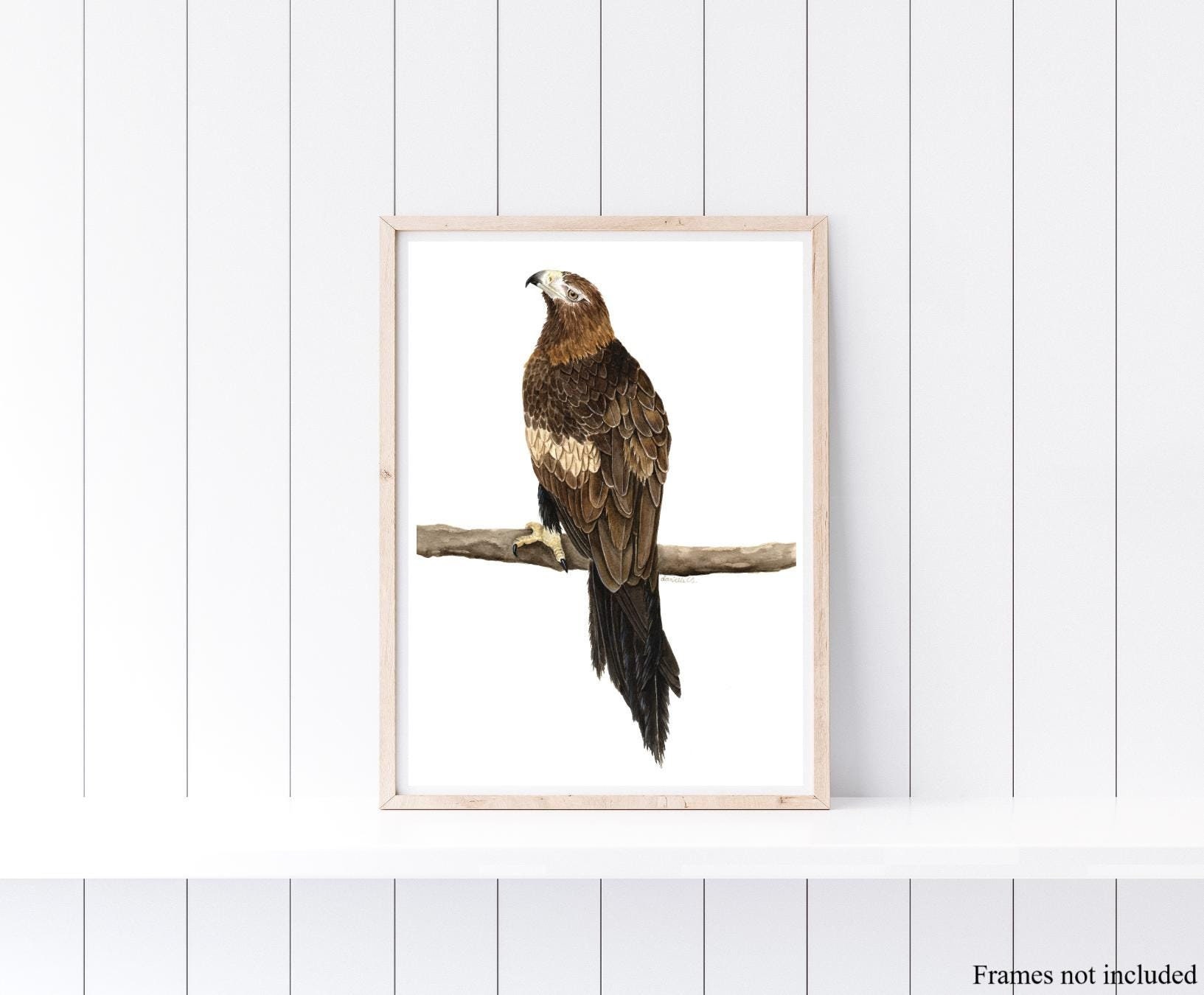 Watercolour Wedge Tailed Eagle Print - Native Australian Bird Art ...