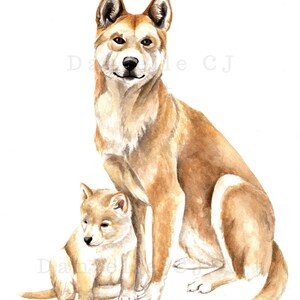 May include: Watercolor painting of a dingo and a pup. The adult dingo is seated, with tan and white fur, and the pup is seated beside it. The artwork is on a white background. The artist's signature is in the lower left corner.