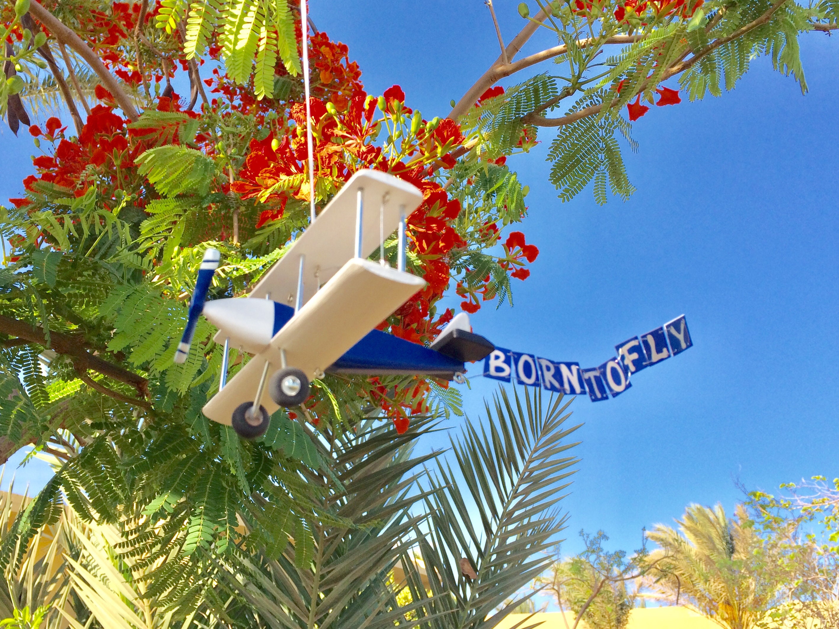 Personalized Wooden Plane With a Banner BORN TO FLY. Custom Etsy
