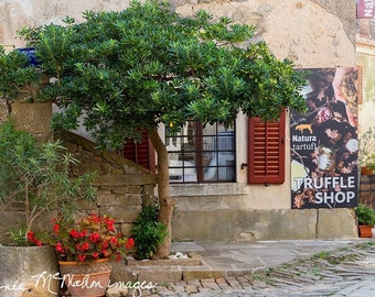 Croatia Photography, Kitchen Wall Art, Rustic Decor, Istria Hill Town, Motovun Print, Truffle Art, Large Wall Art, Europe Travel Art,