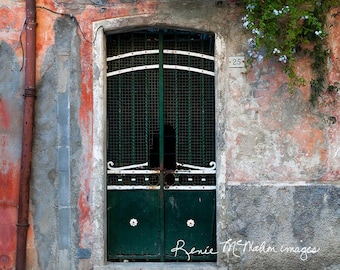 Italy Photography, Door Photography, Cinque Terre Print, Italian Decor, Rustic Decor, Europe Travel Photo, Monterosso Italy, Large Wall Art