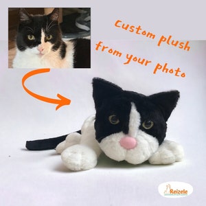 Custom plush cat, Plush cat from photo, Plush version of the cat, Cat plush replica, Stuffed animal cat, Catslover gift