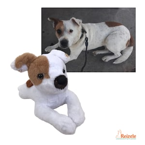 Custom plush dog, Dog plush from photo,  Plush version of your dog, Made to order soft toy dog, Stuffed animal dog