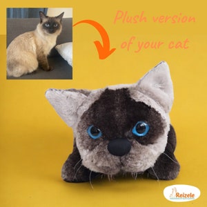 Custom plush cat, Plush cat from photo, Plush version of the cat, Cat plush replica, Stuffed animal cat, Catslover gift