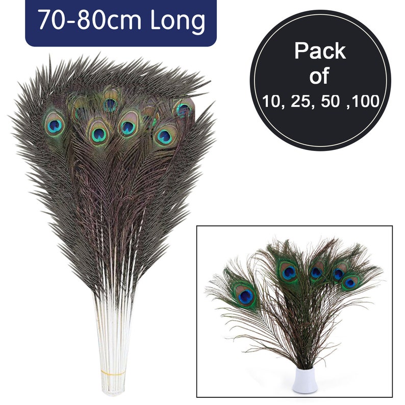 Natural Real Peacock Bird Tail Feathers 27 31 Colorful Feathers Beautiful Natural Eyes Bridal, Halloween, Craft Trimming Shop UK image 1