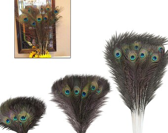 Peacock Tail Feathers Natural, Wedding, Festival, Party, Home, Bouquet, DIY Decoration - Trimming Shop UK