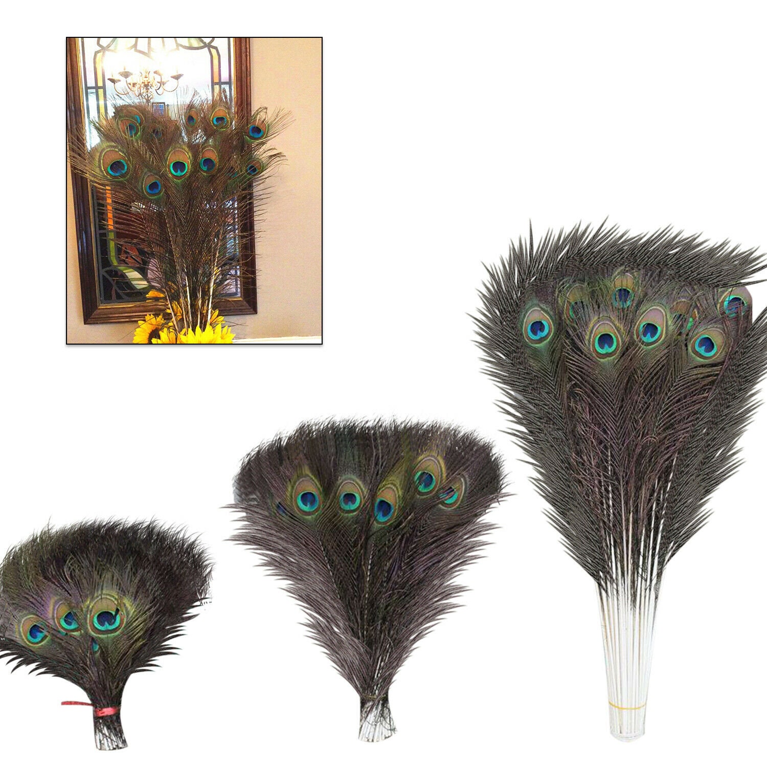COOLL 10Pcs Peacock Feathers Attractive DIY Creation Natural Peacock Eye  Tail Feather for Party