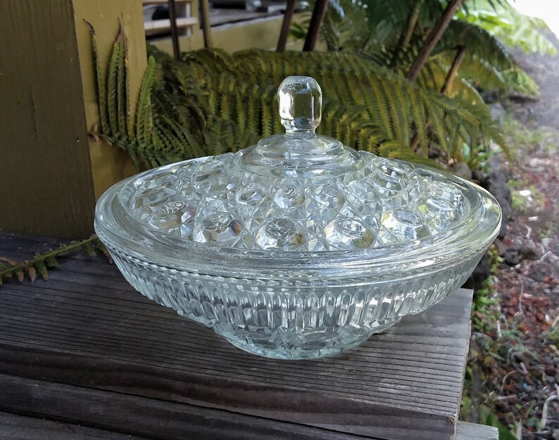 Cane and Button Federal Glass Covered Candy Dish aka Windsor. Circa