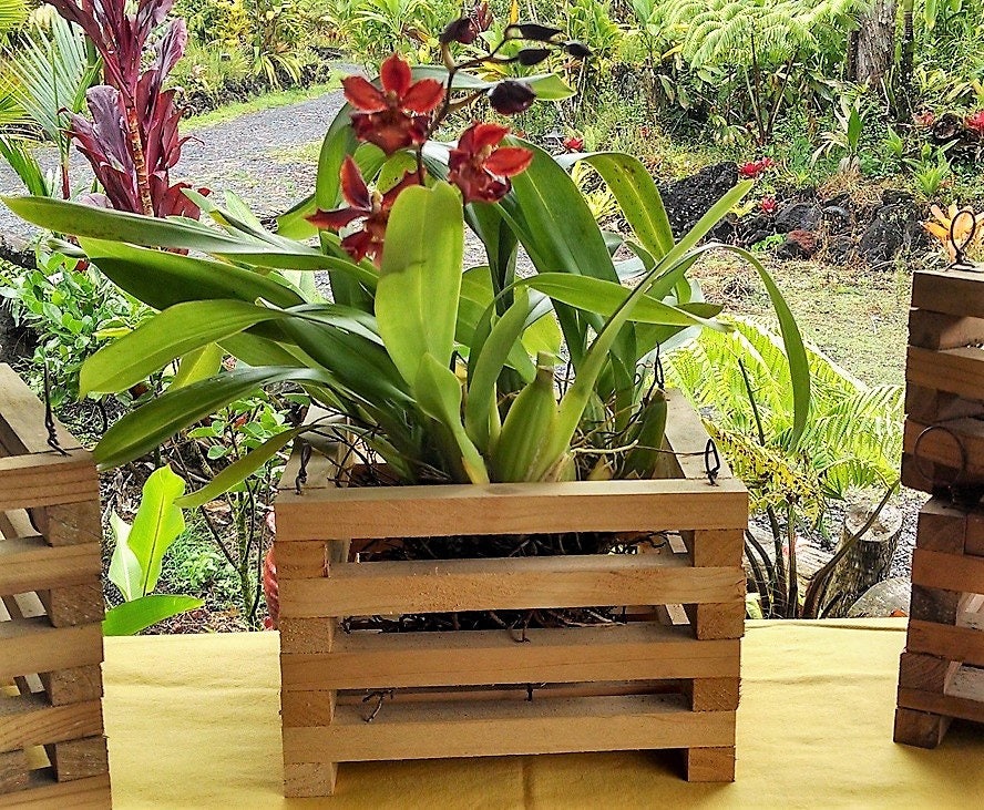 SQUARE STYLE WITH HANDMADE RUSTIC FINISH ORCHID PLANTING BASKETS 