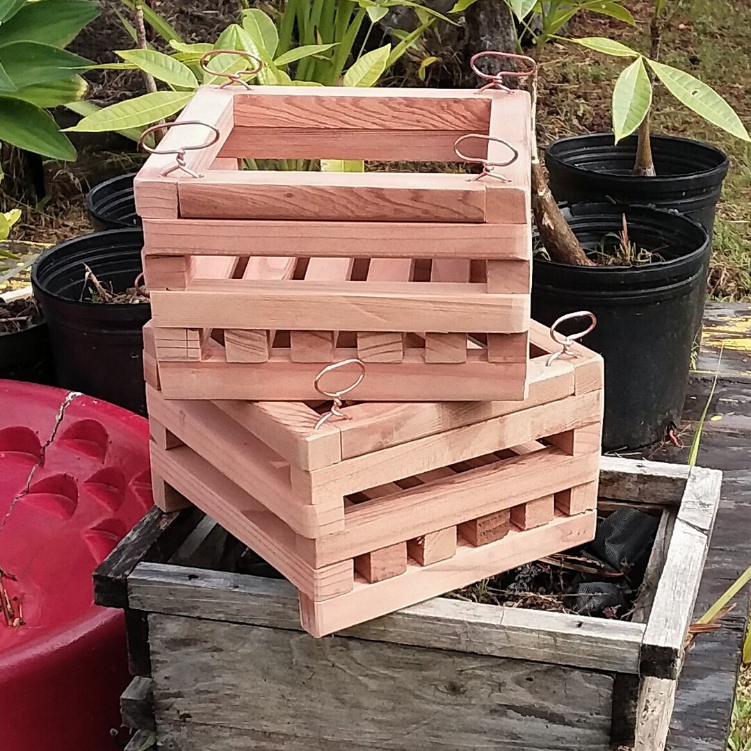 Rustic Redwood Orchid Boxes/baskets. Con Heart Redwood. Etsy UK
