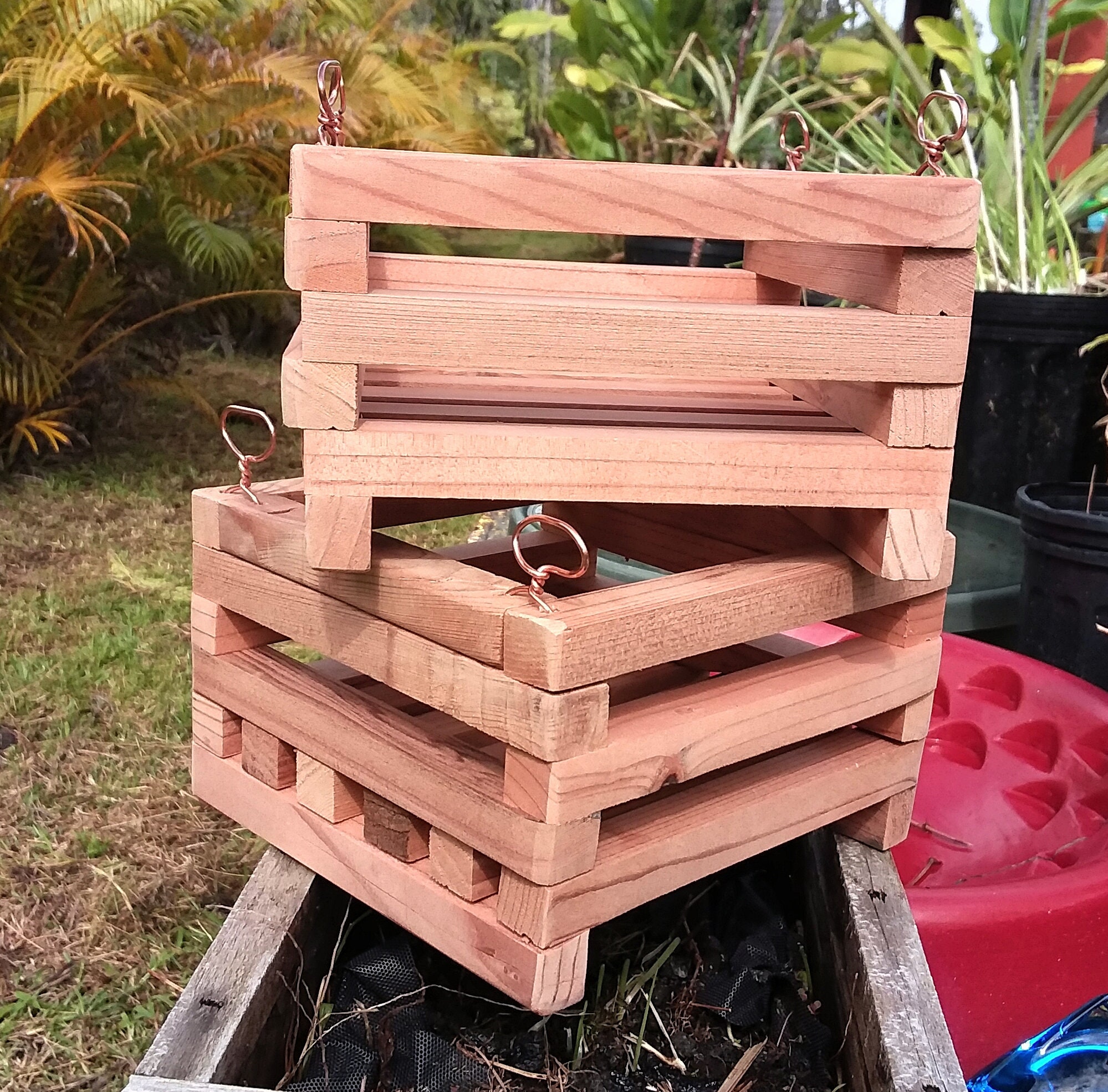 Rustic Redwood Orchid Boxes/baskets. Con Heart Redwood. Etsy UK