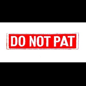 DO NOT PAT Patch |  Sew on Custom Patch | Dog Patch | Embroidered Tag