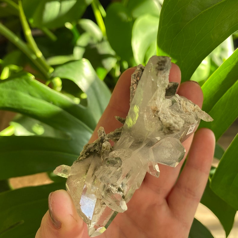 May include: A cluster of clear quartz crystals with a green and gray mineral inclusion. The crystals are pointed and have a natural, raw look.