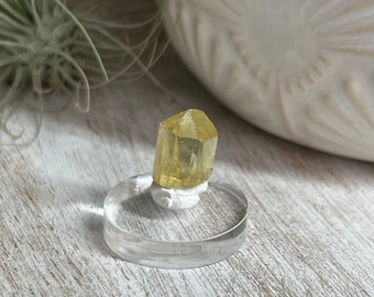 Fluorapatite | Gem Grade Yellow Apatite | Mexican Mineral Specimen on Acrylic Display | Yellow Crystal | Natural Raw Apatite