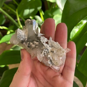 May include: A cluster of clear quartz crystals with a gray, rocky matrix. The crystals are pointed and have a translucent appearance.