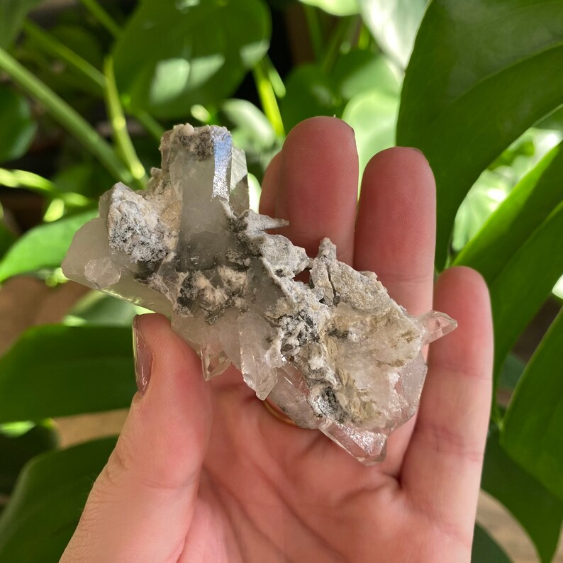 May include: A cluster of clear quartz crystals with a gray, rocky matrix. The crystals are pointed and have a translucent appearance.