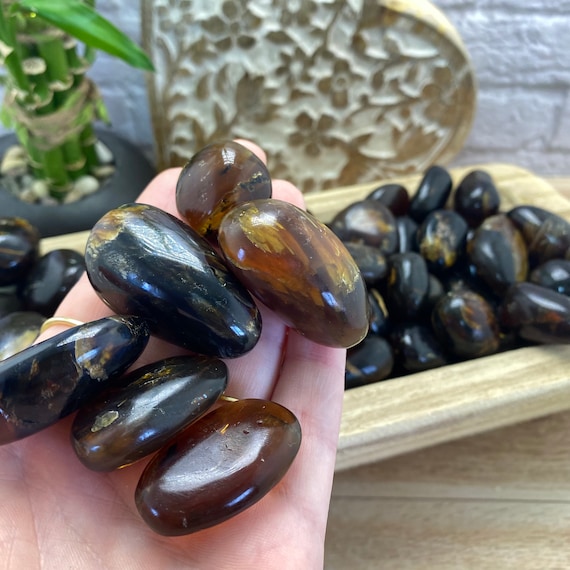 Indonesian Amber Tumbles: Natural Fossilized Tree Resin Pocket Stones