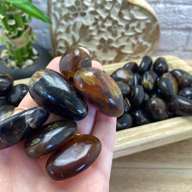 May include: A collection of polished amber stones in various shades of brown and black. The stones are smooth and have a natural, organic look.