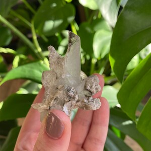 May include: A cluster of clear quartz crystals with a green tint, set in a matrix of gray and white rock. The crystals are pointed and have a rough texture.