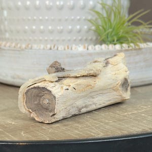 May include: A piece of driftwood with a light brown and tan color. The wood has a rough texture and a dark brown center. The driftwood is a natural decorative element.